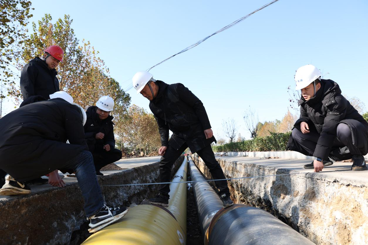 Z6���������ǲ�(�й���)�ٷ���վ