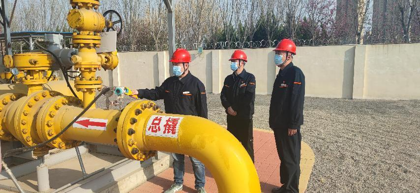 Z6���������ǲ�(�й���)�ٷ���վ