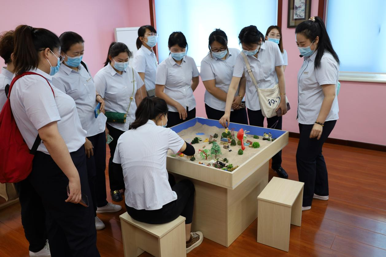 Z6���������ǲ�(�й���)�ٷ���վ