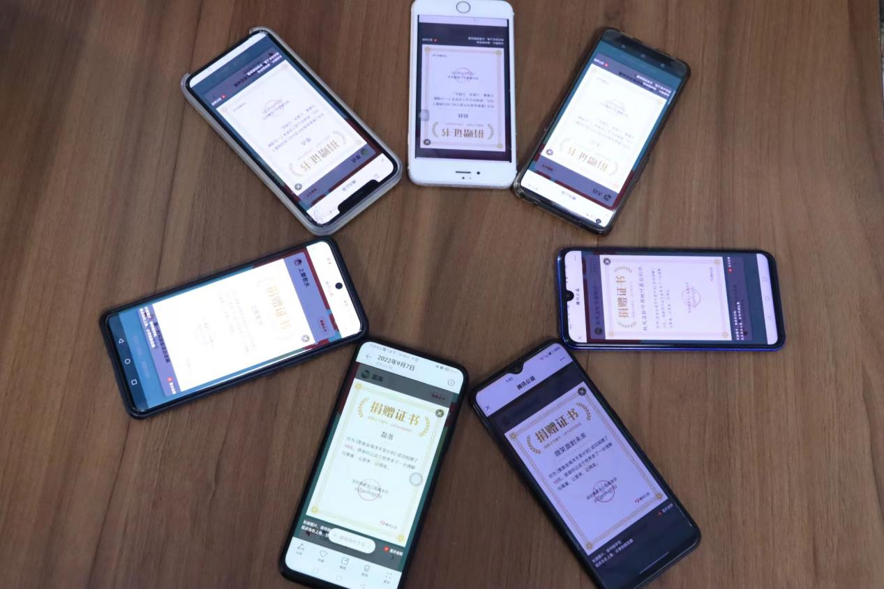 Z6���������ǲ�(�й���)�ٷ���վ