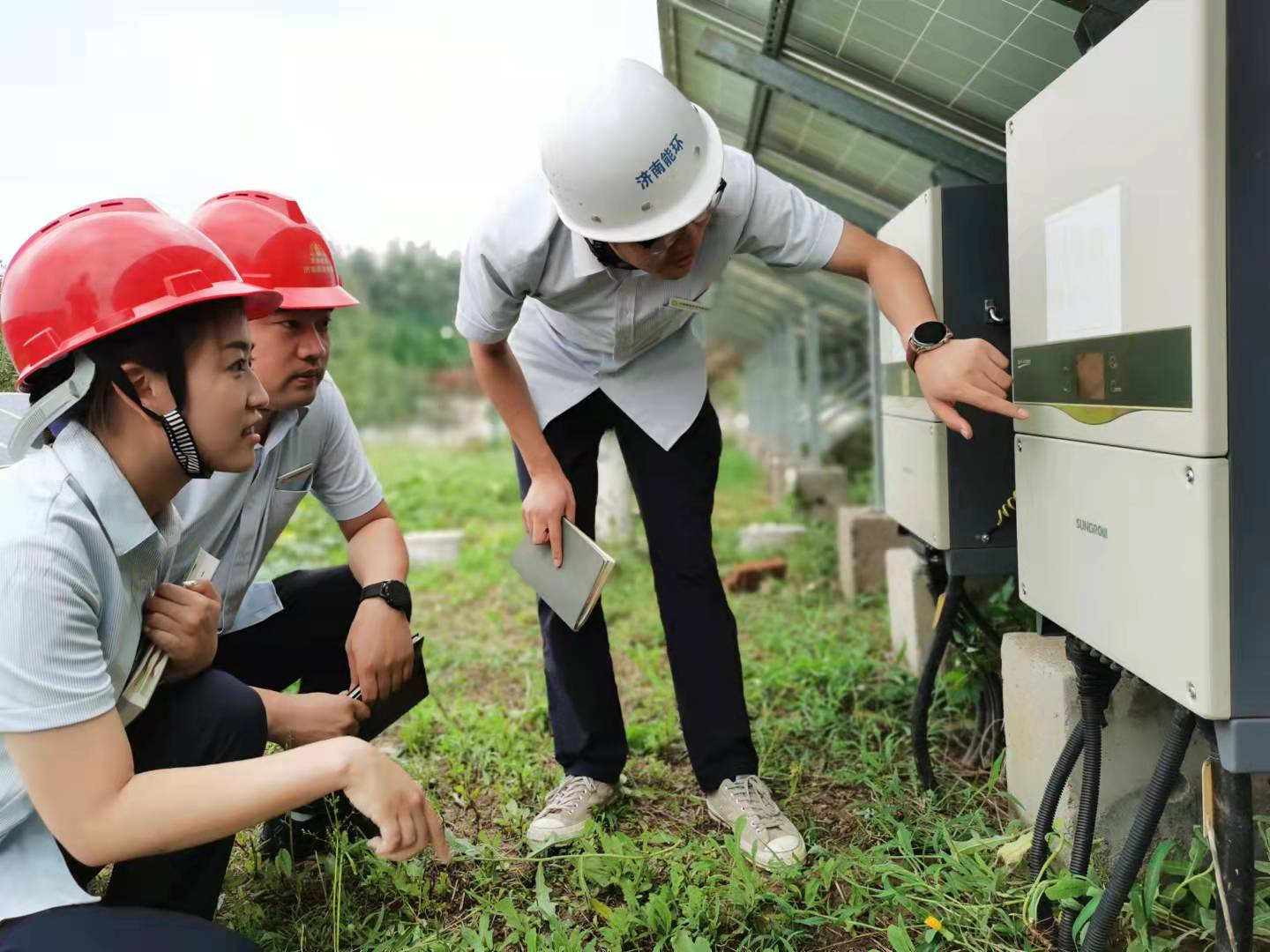 Z6���������ǲ�(�й���)�ٷ���վ