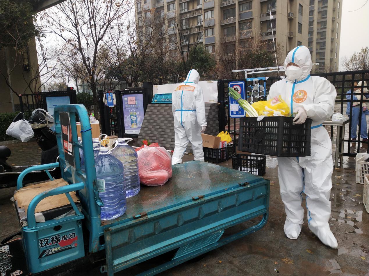 Z6���������ǲ�(�й���)�ٷ���վ