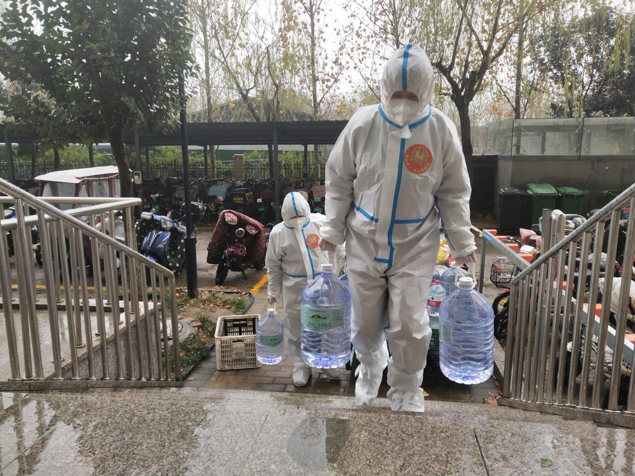 Z6���������ǲ�(�й���)�ٷ���վ