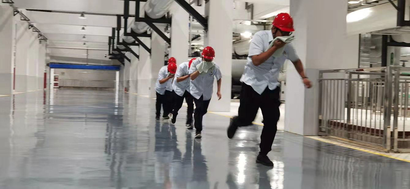 Z6���������ǲ�(�й���)�ٷ���վ