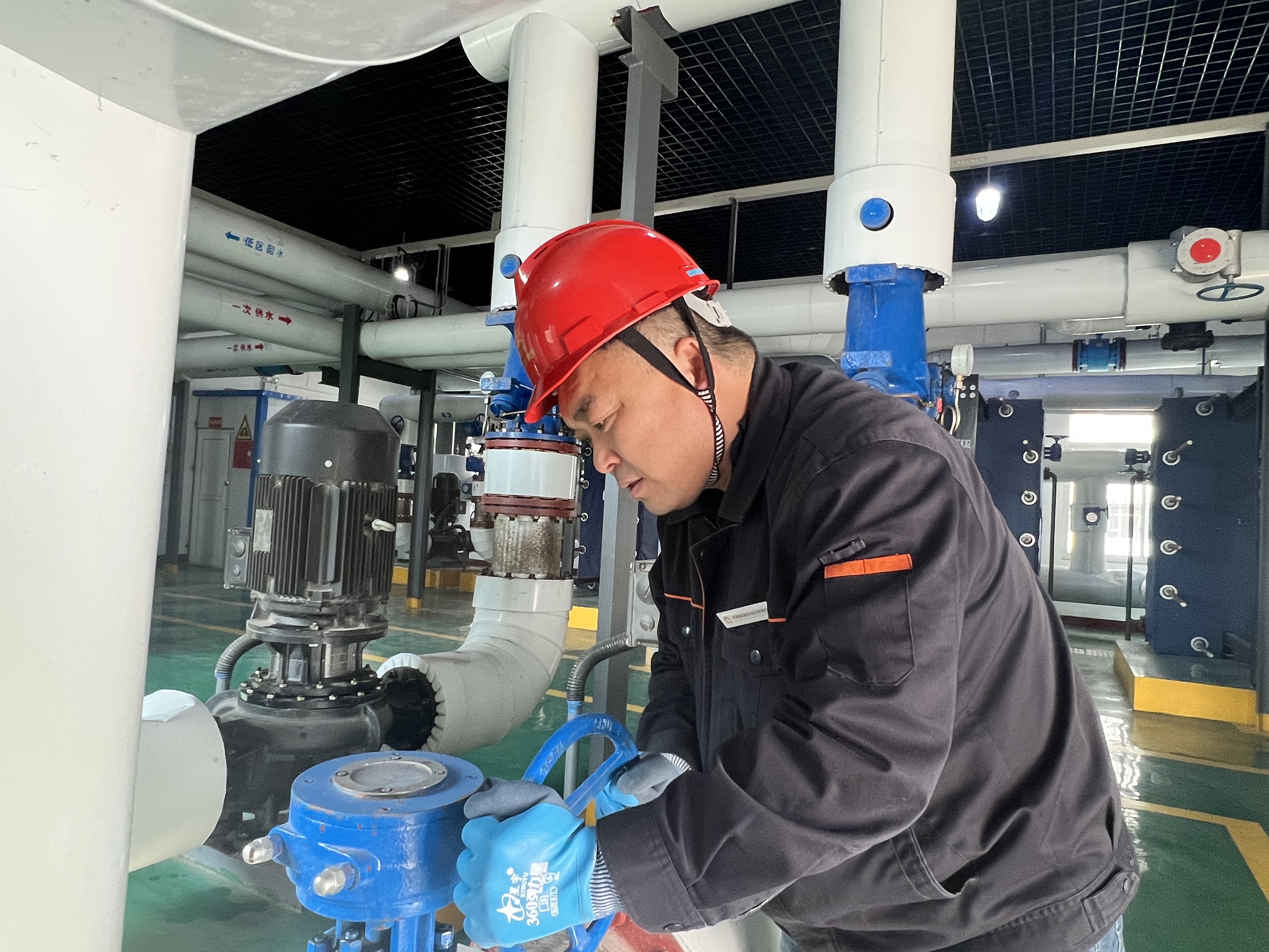 Z6���������ǲ�(�й���)�ٷ���վ