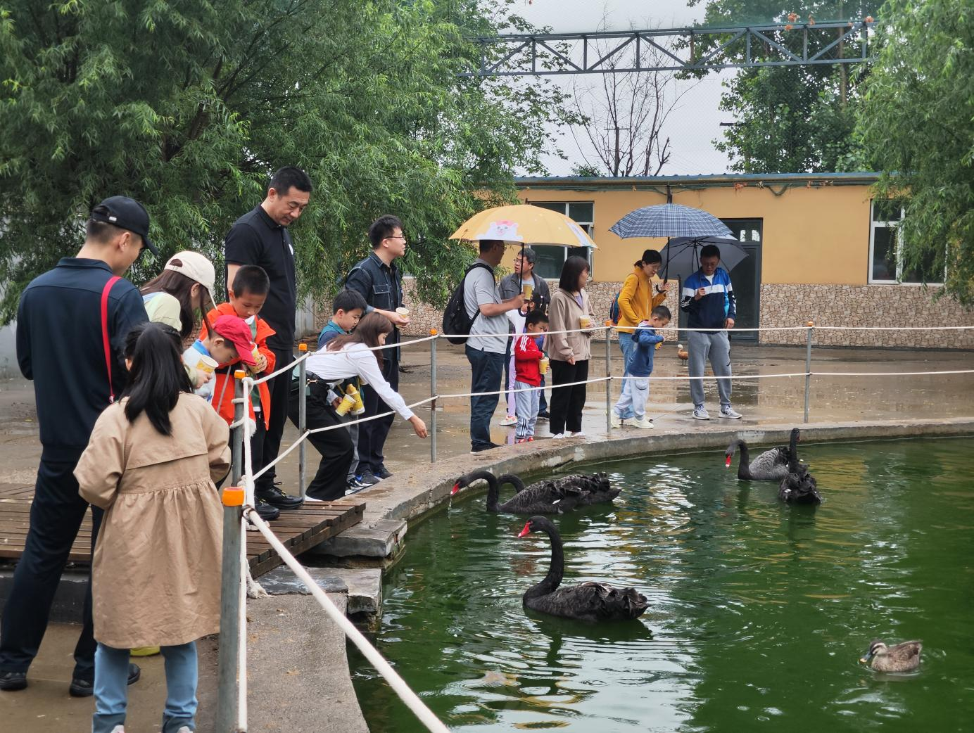 Z6���������ǲ�(�й���)�ٷ���վ