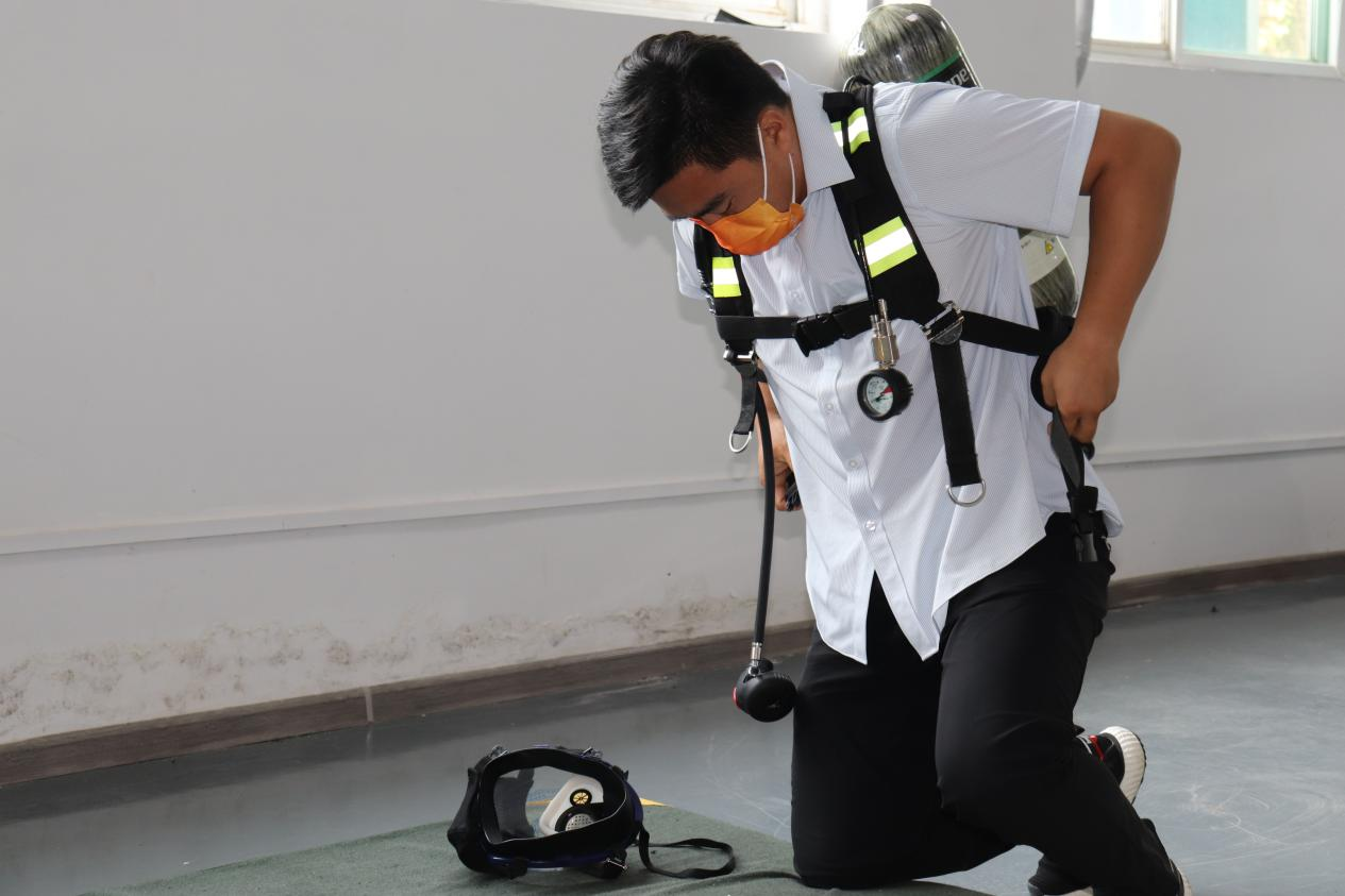 Z6���������ǲ�(�й���)�ٷ���վ