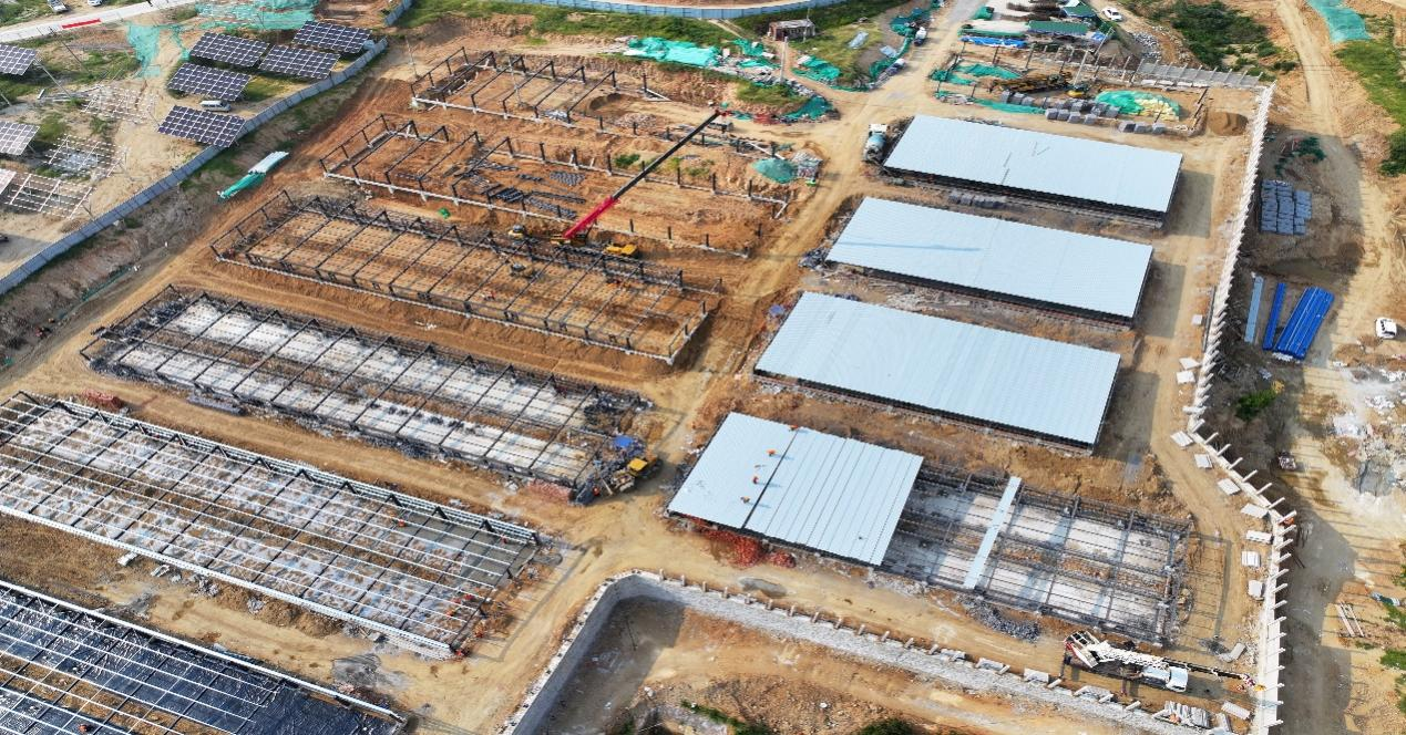 Z6���������ǲ�(�й���)�ٷ���վ