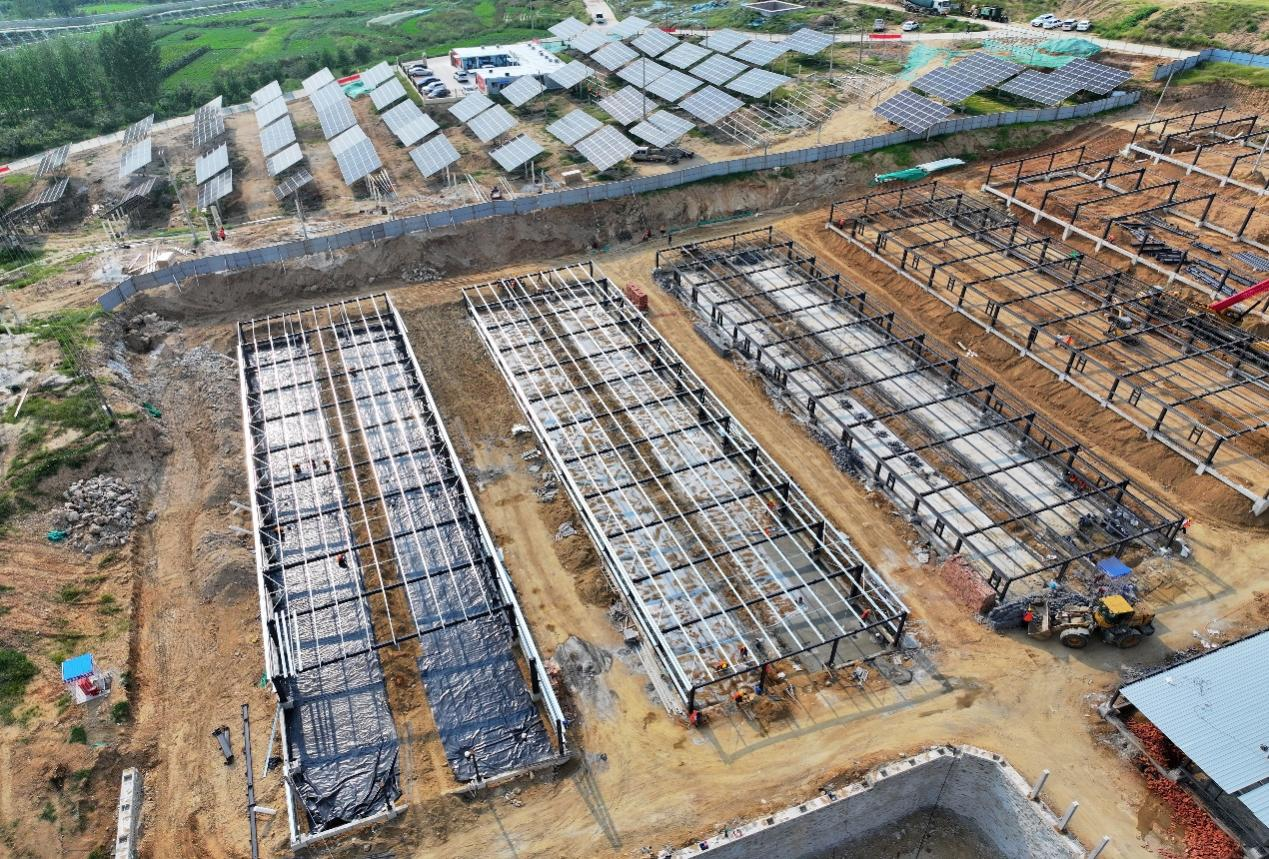 Z6���������ǲ�(�й���)�ٷ���վ