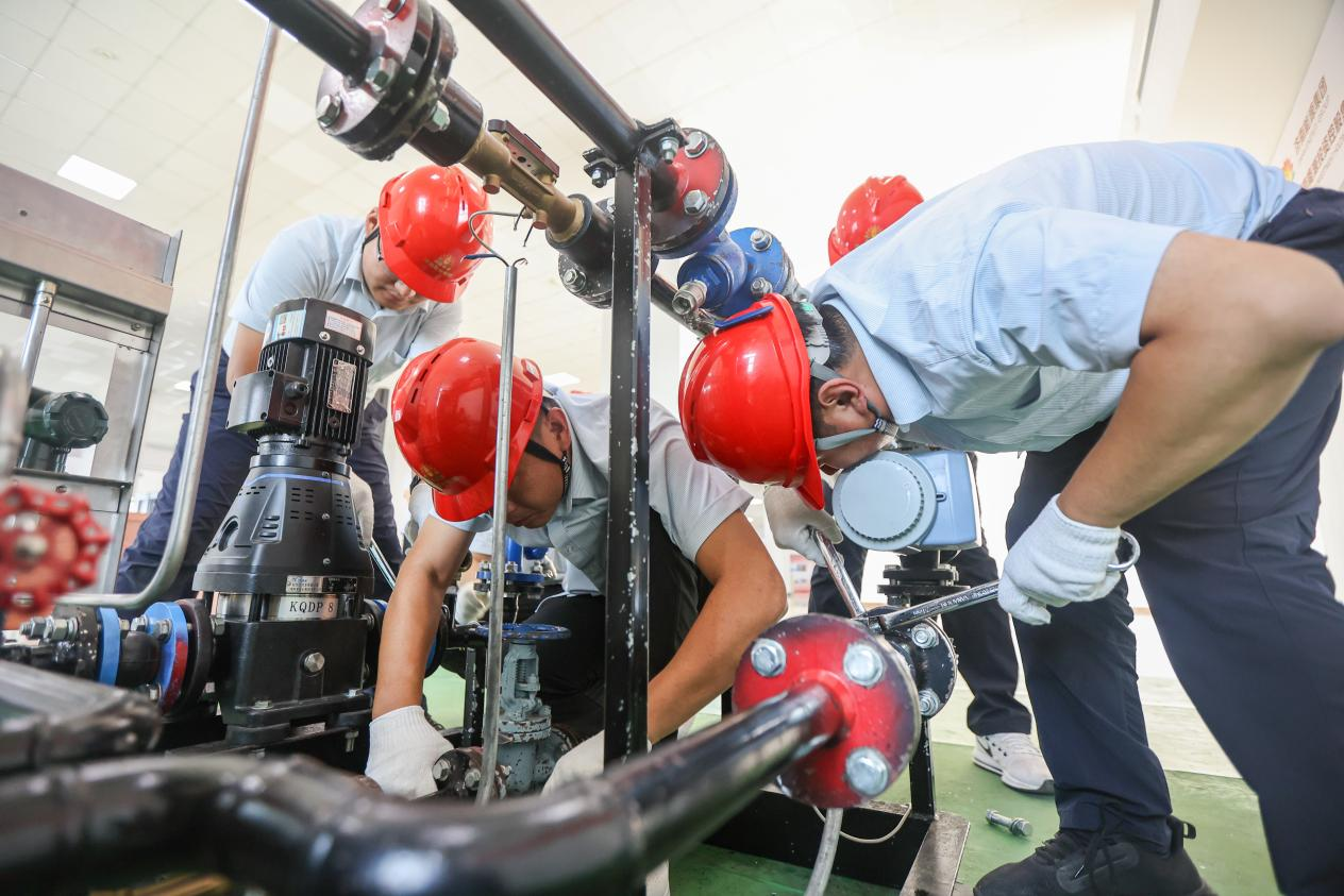 Z6���������ǲ�(�й���)�ٷ���վ