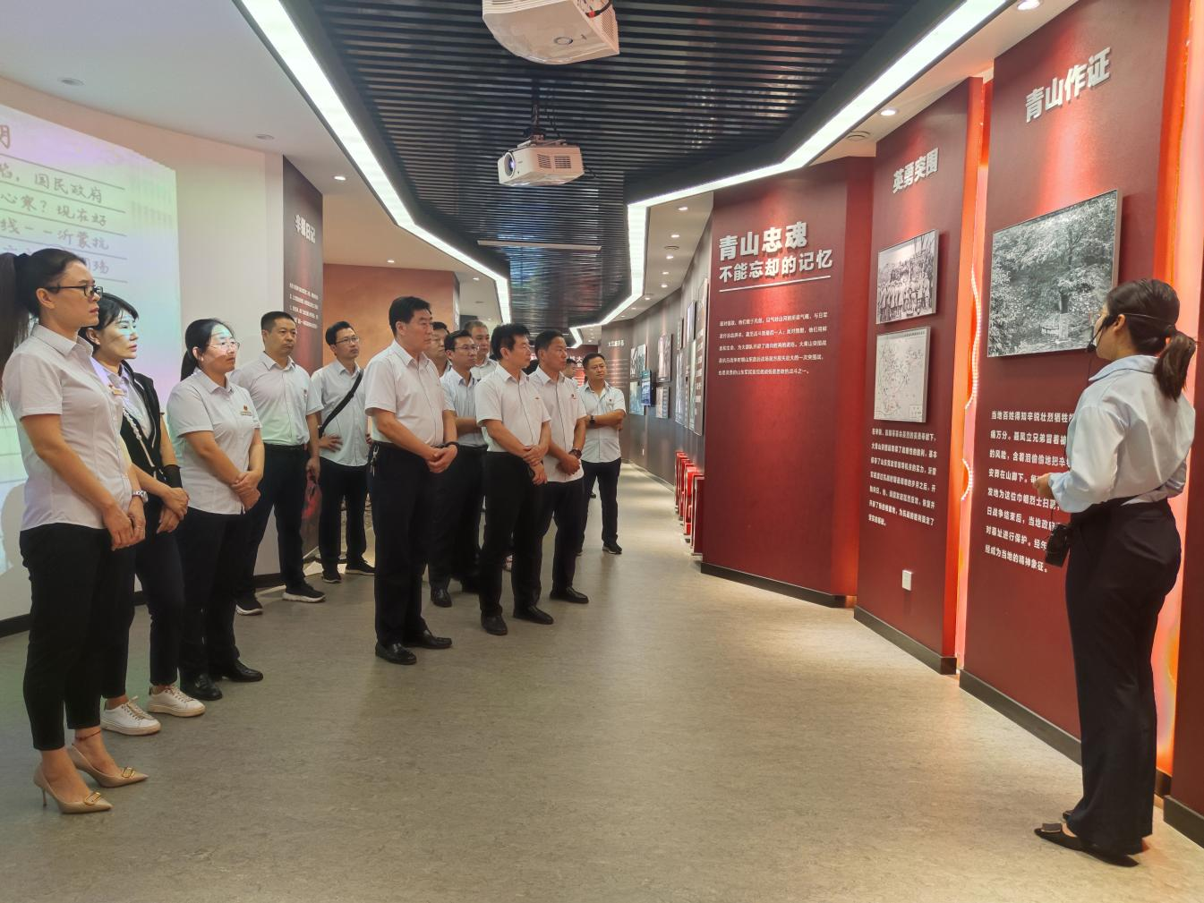 Z6���������ǲ�(�й���)�ٷ���վ