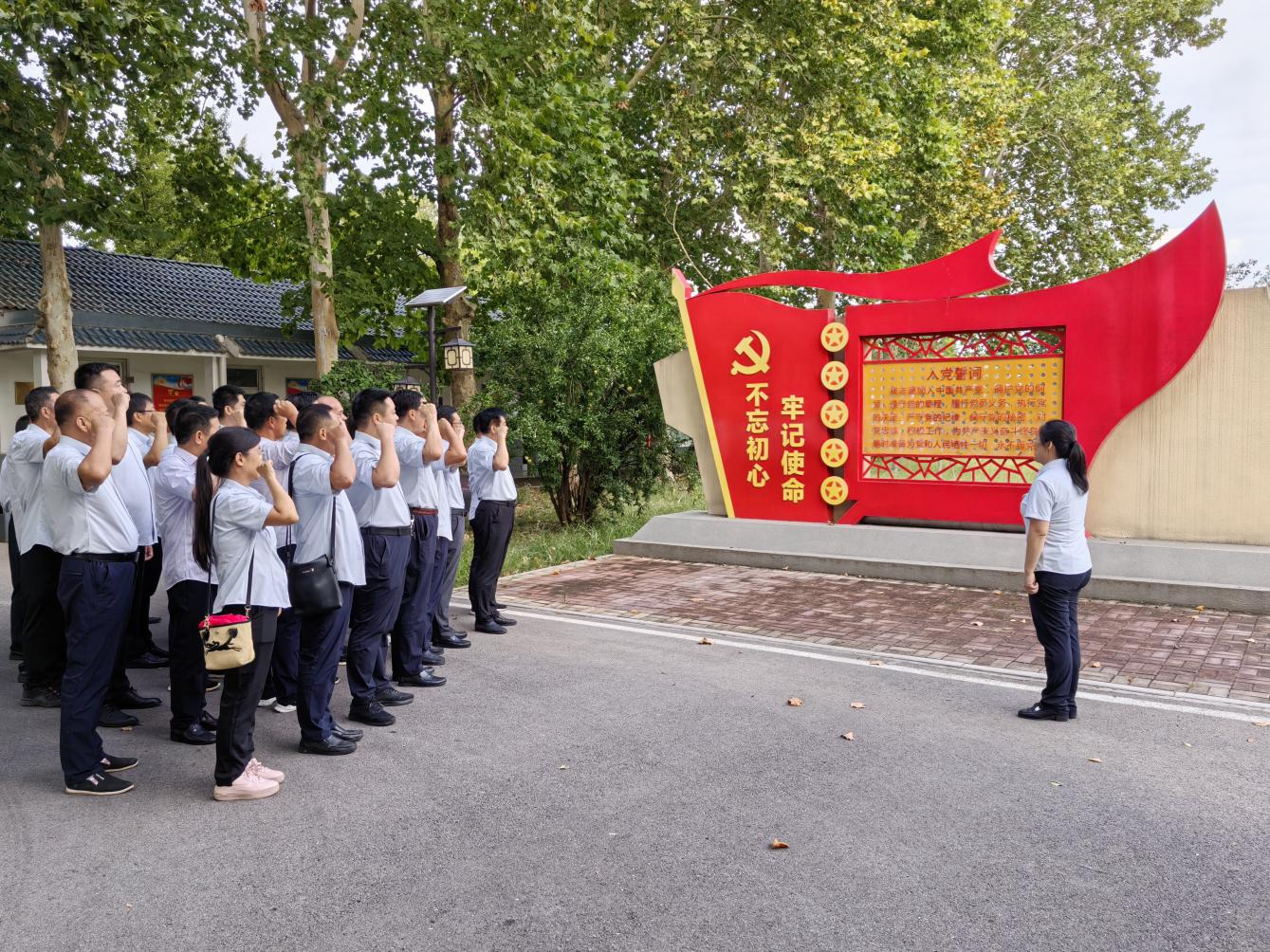 Z6���������ǲ�(�й���)�ٷ���վ