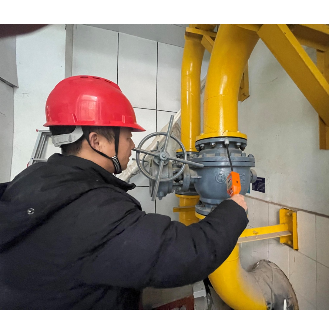 Z6���������ǲ�(�й���)�ٷ���վ