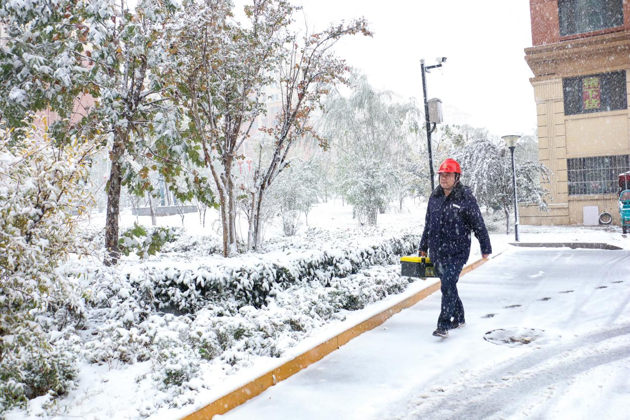 Z6���������ǲ�(�й���)�ٷ���վ