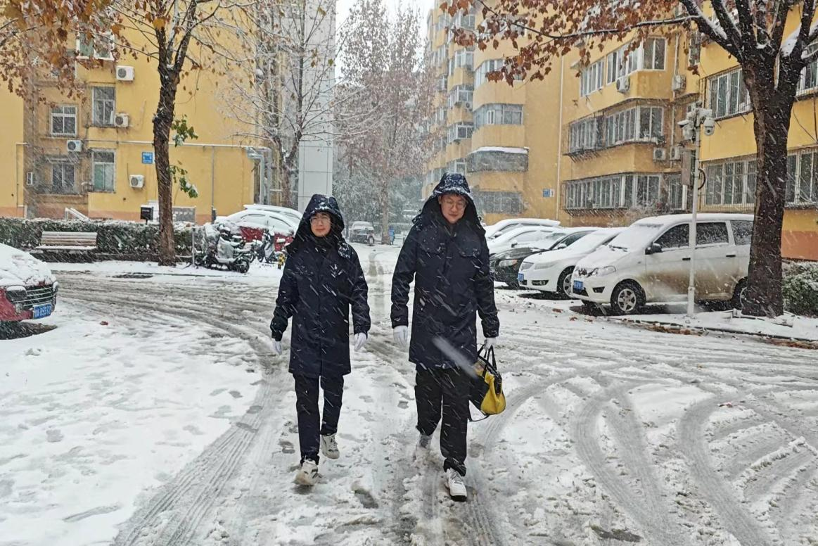 Z6���������ǲ�(�й���)�ٷ���վ