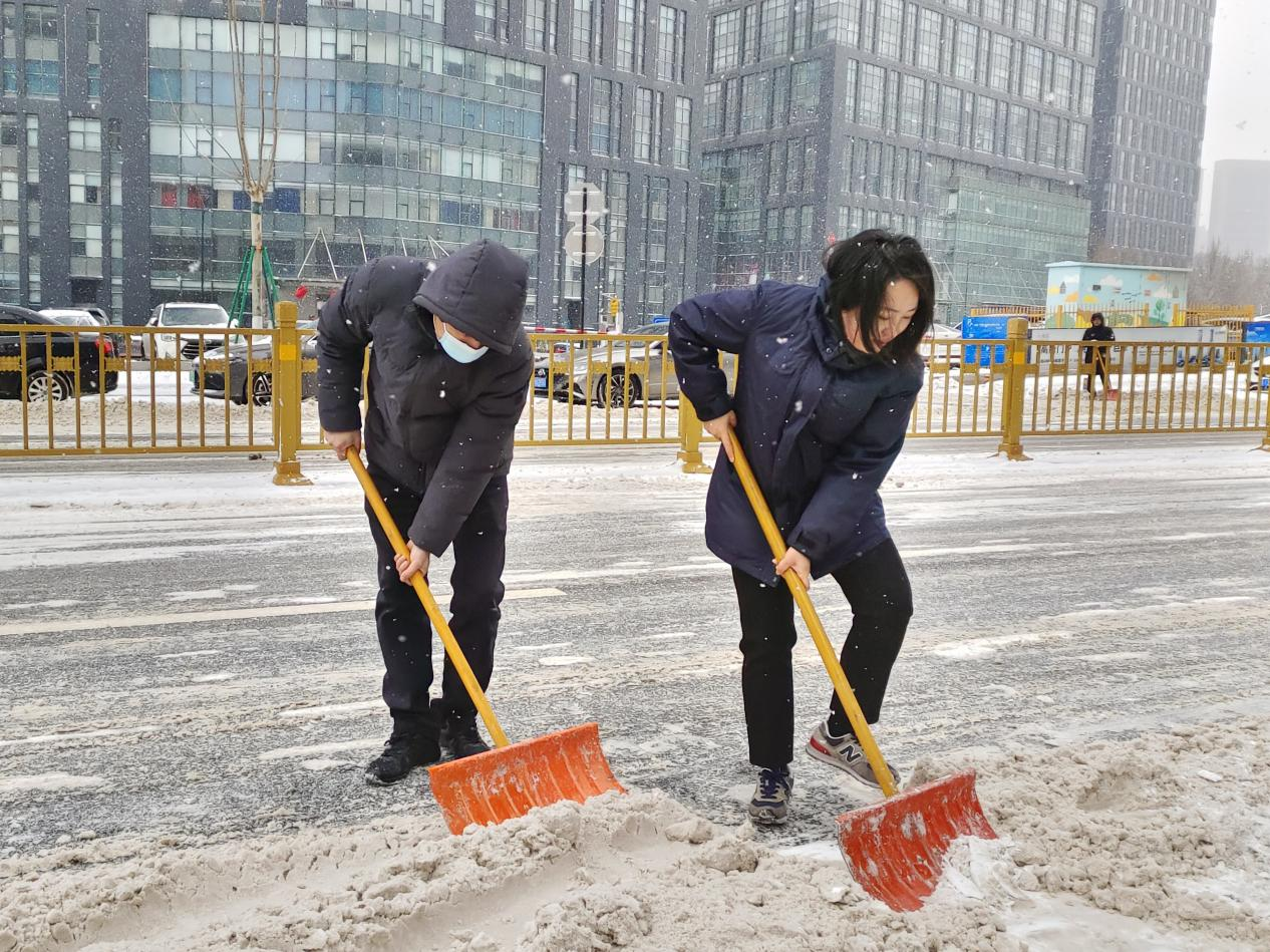 Z6���������ǲ�(�й���)�ٷ���վ