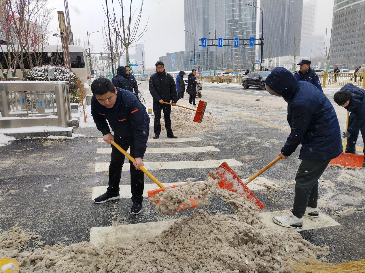 Z6���������ǲ�(�й���)�ٷ���վ