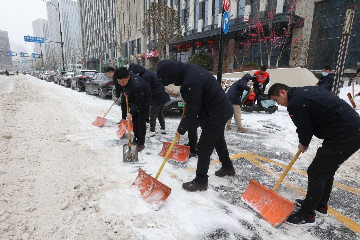 Z6���������ǲ�(�й���)�ٷ���վ