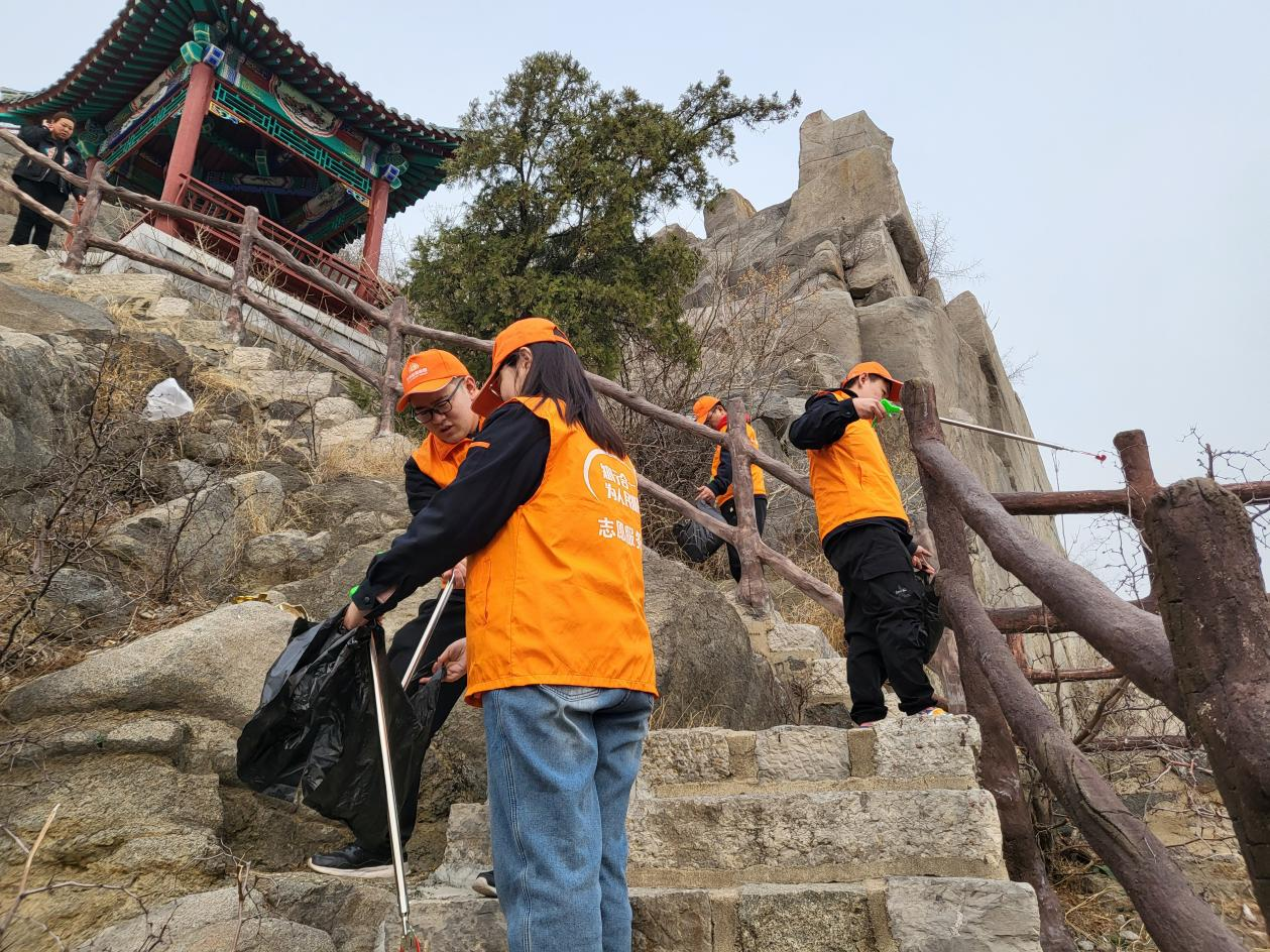 Z6���������ǲ�(�й���)�ٷ���վ