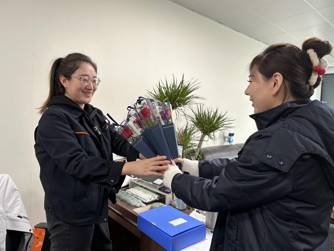 Z6���������ǲ�(�й���)�ٷ���վ