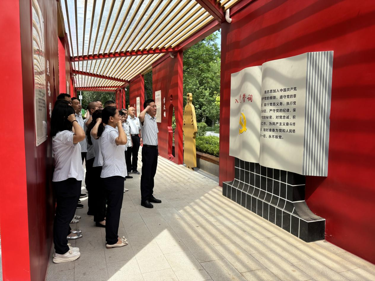 Z6���������ǲ�(�й���)�ٷ���վ