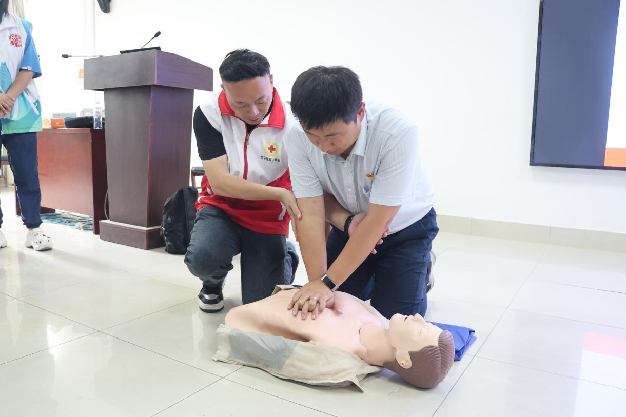 Z6���������ǲ�(�й���)�ٷ���վ