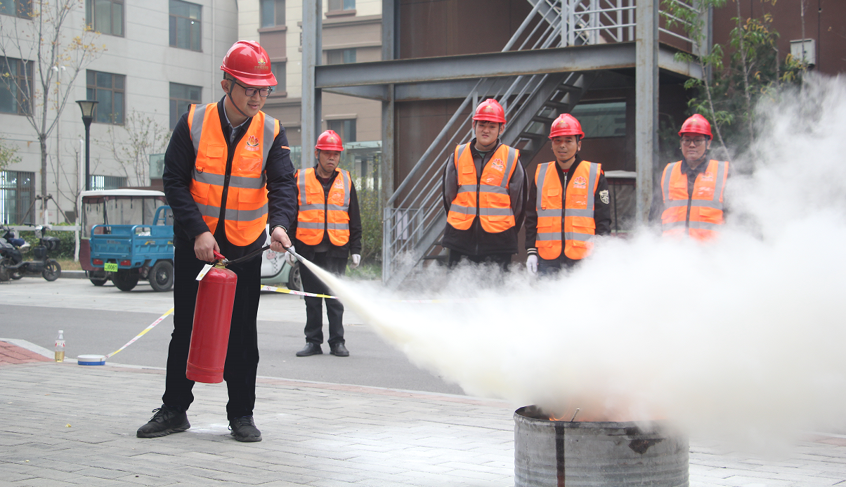 Z6���������ǲ�(�й���)�ٷ���վ