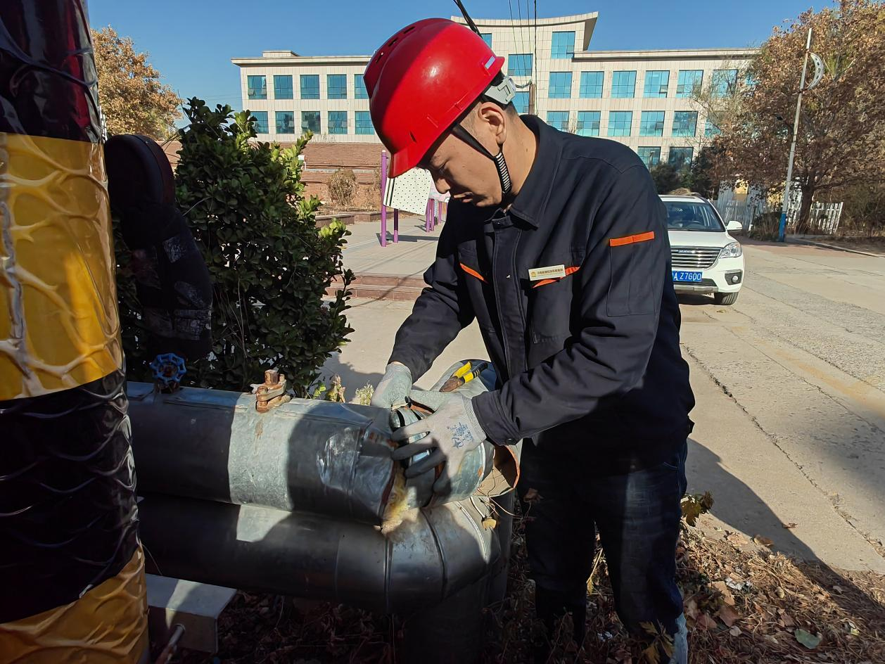 Z6���������ǲ�(�й���)�ٷ���վ