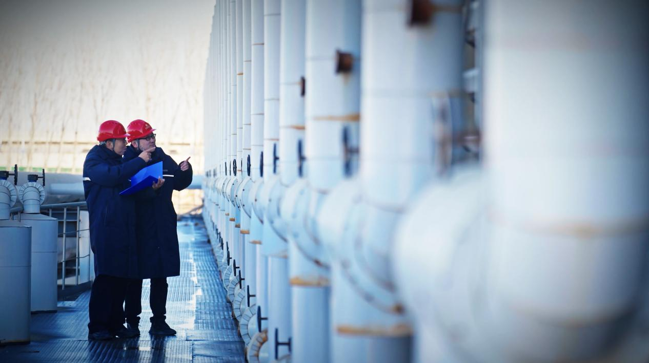 Z6���������ǲ�(�й���)�ٷ���վ