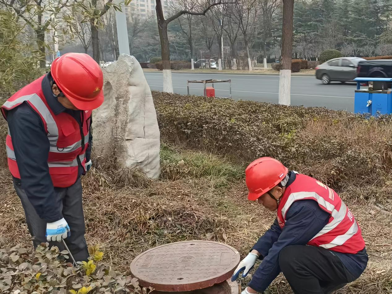 Z6���������ǲ�(�й���)�ٷ���վ