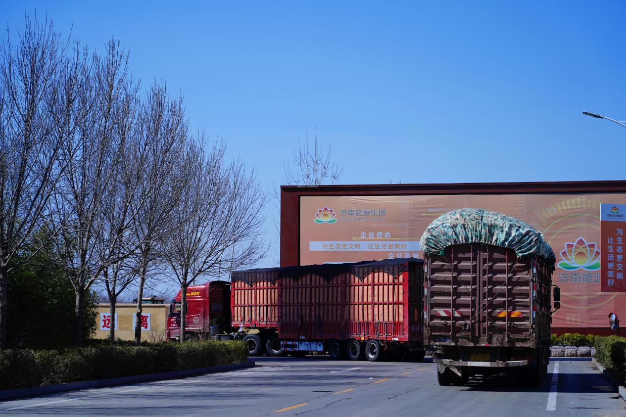 Z6���������ǲ�(�й���)�ٷ���վ