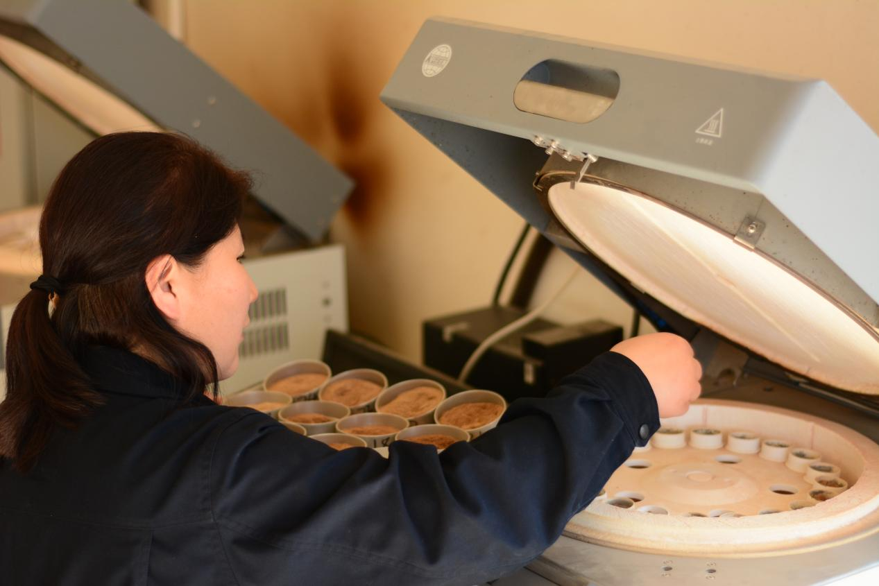 Z6���������ǲ�(�й���)�ٷ���վ