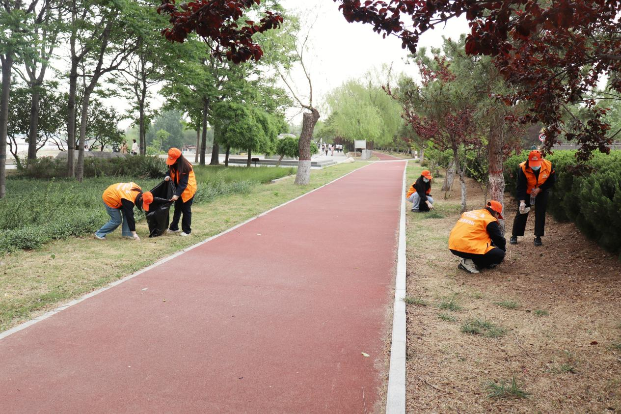 Z6���������ǲ�(�й���)�ٷ���վ