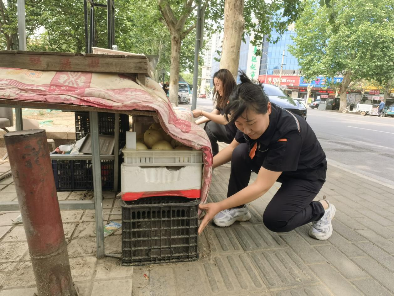 Z6���������ǲ�(�й���)�ٷ���վ