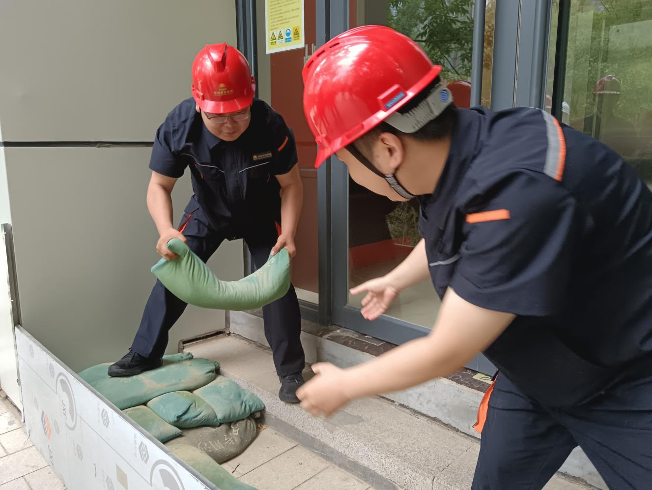 Z6���������ǲ�(�й���)�ٷ���վ