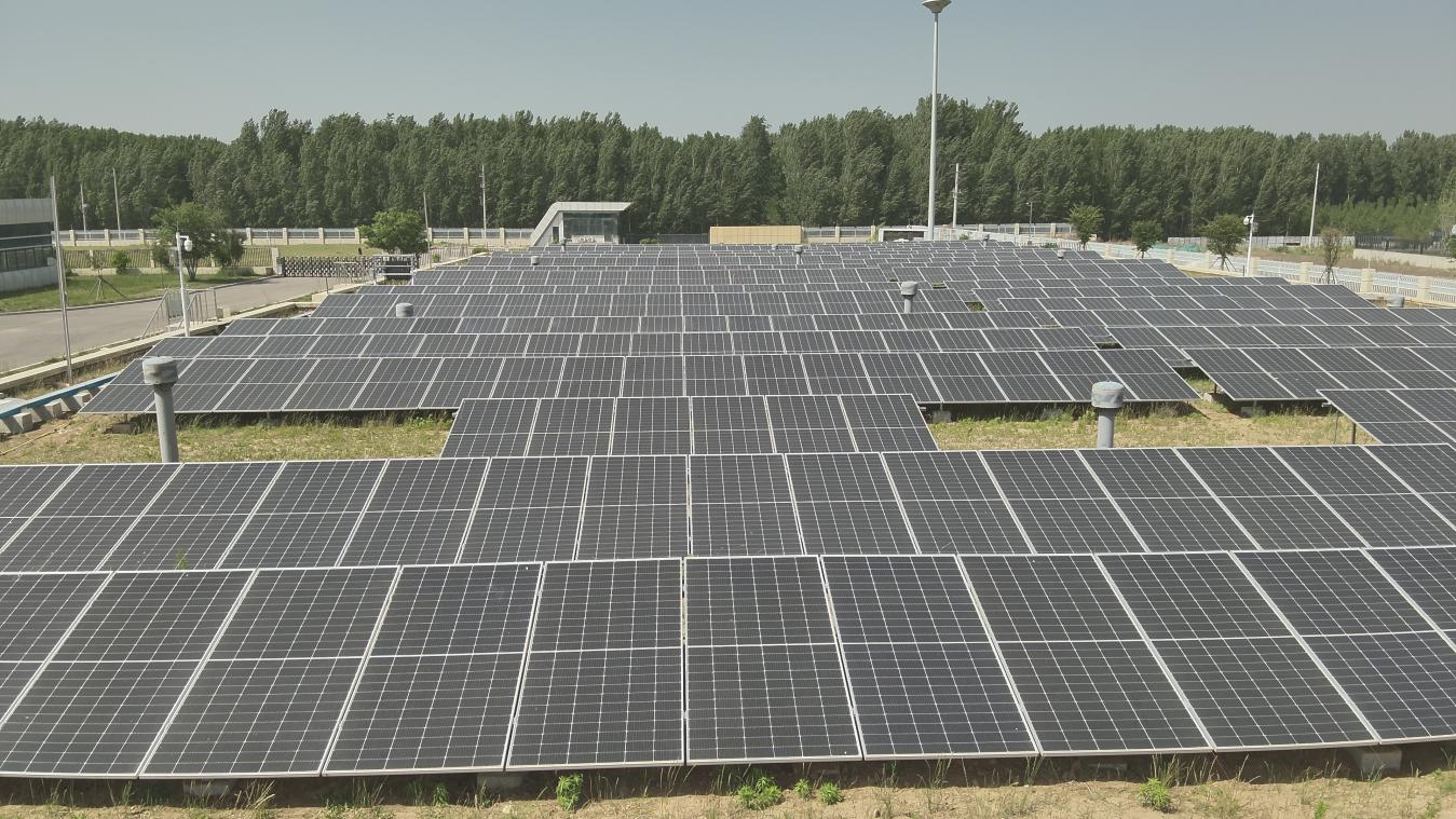 Z6���������ǲ�(�й���)�ٷ���վ