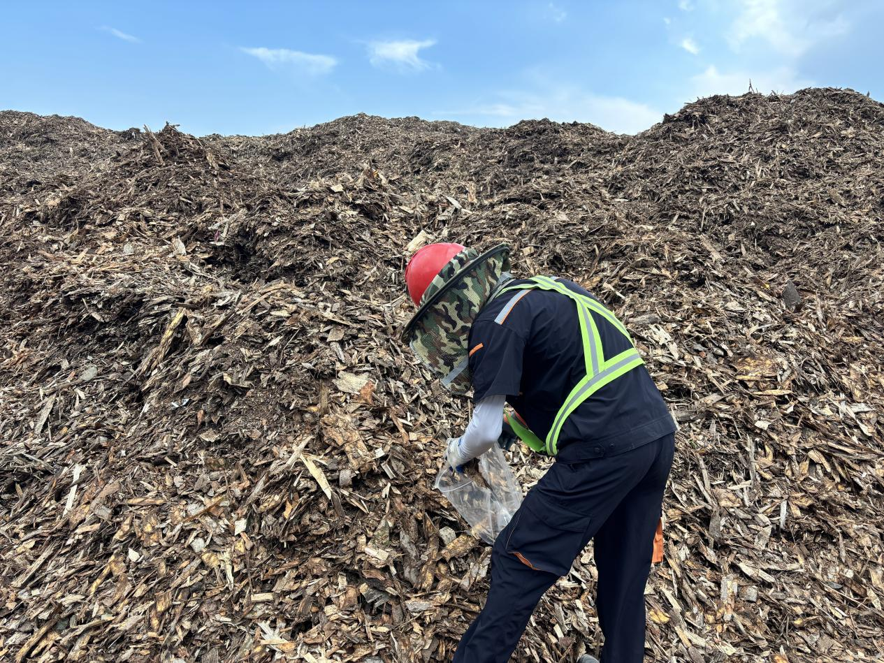 Z6���������ǲ�(�й���)�ٷ���վ