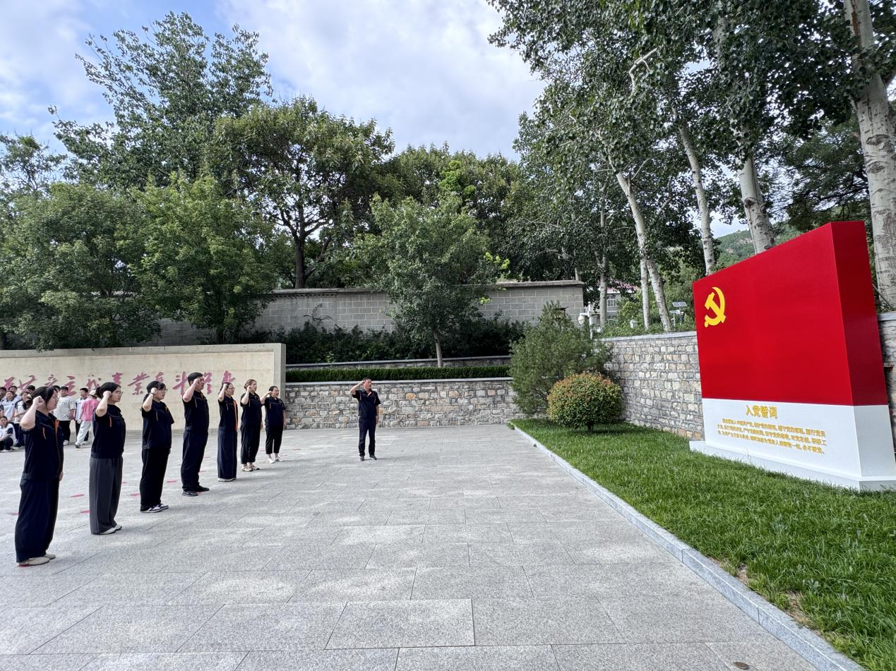 Z6���������ǲ�(�й���)�ٷ���վ