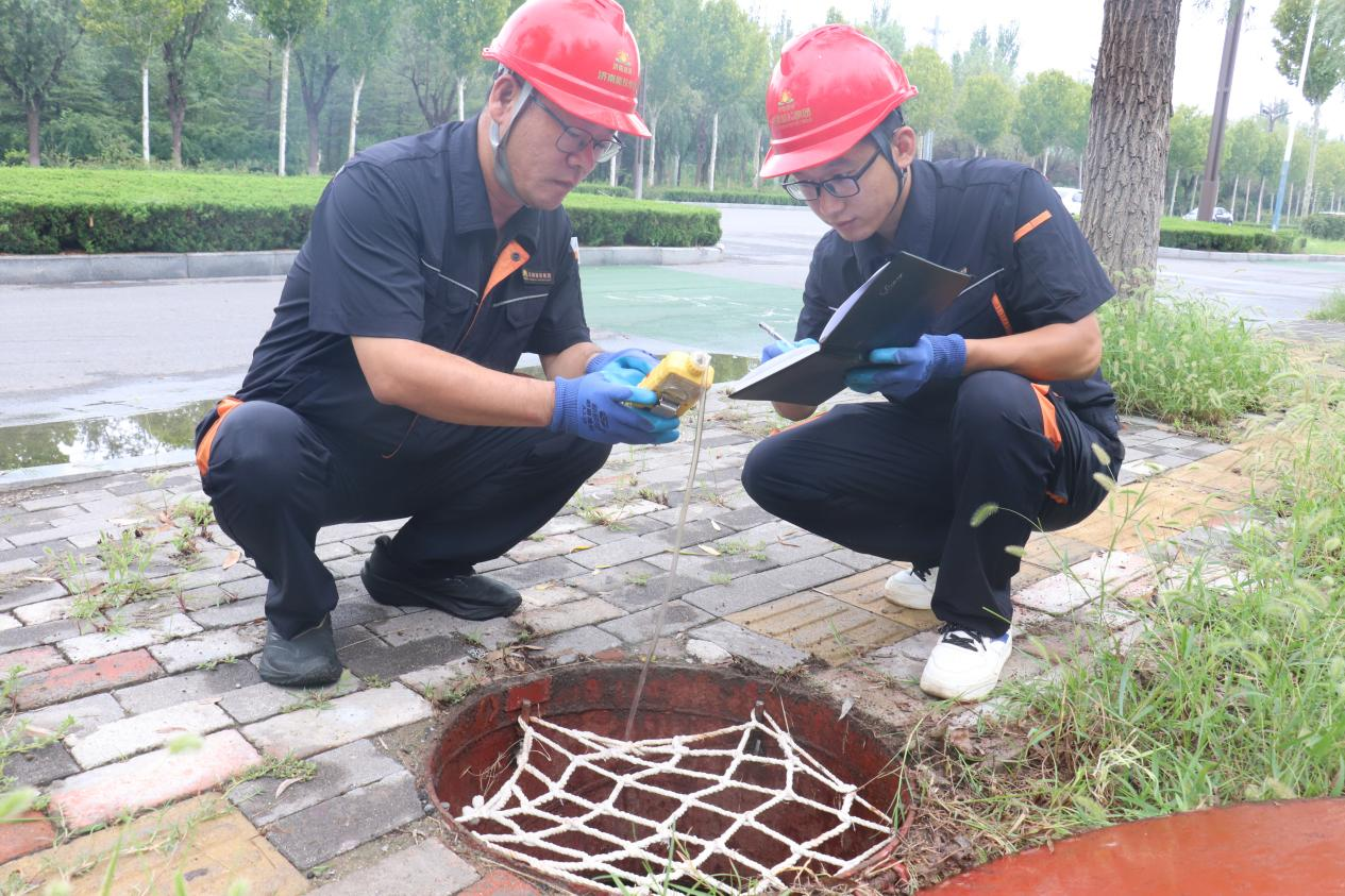 Z6���������ǲ�(�й���)�ٷ���վ