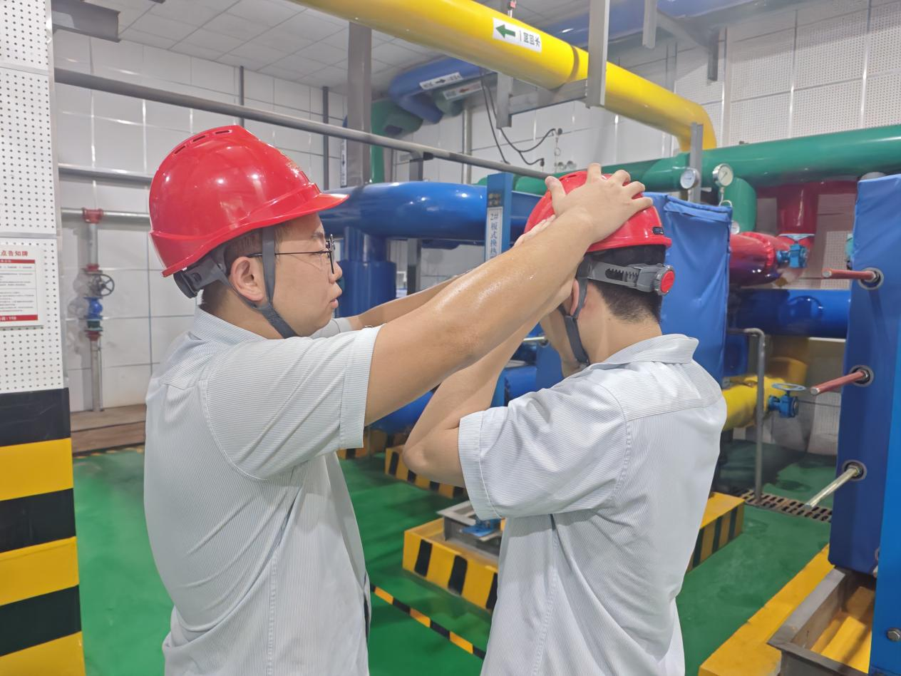 Z6���������ǲ�(�й���)�ٷ���վ