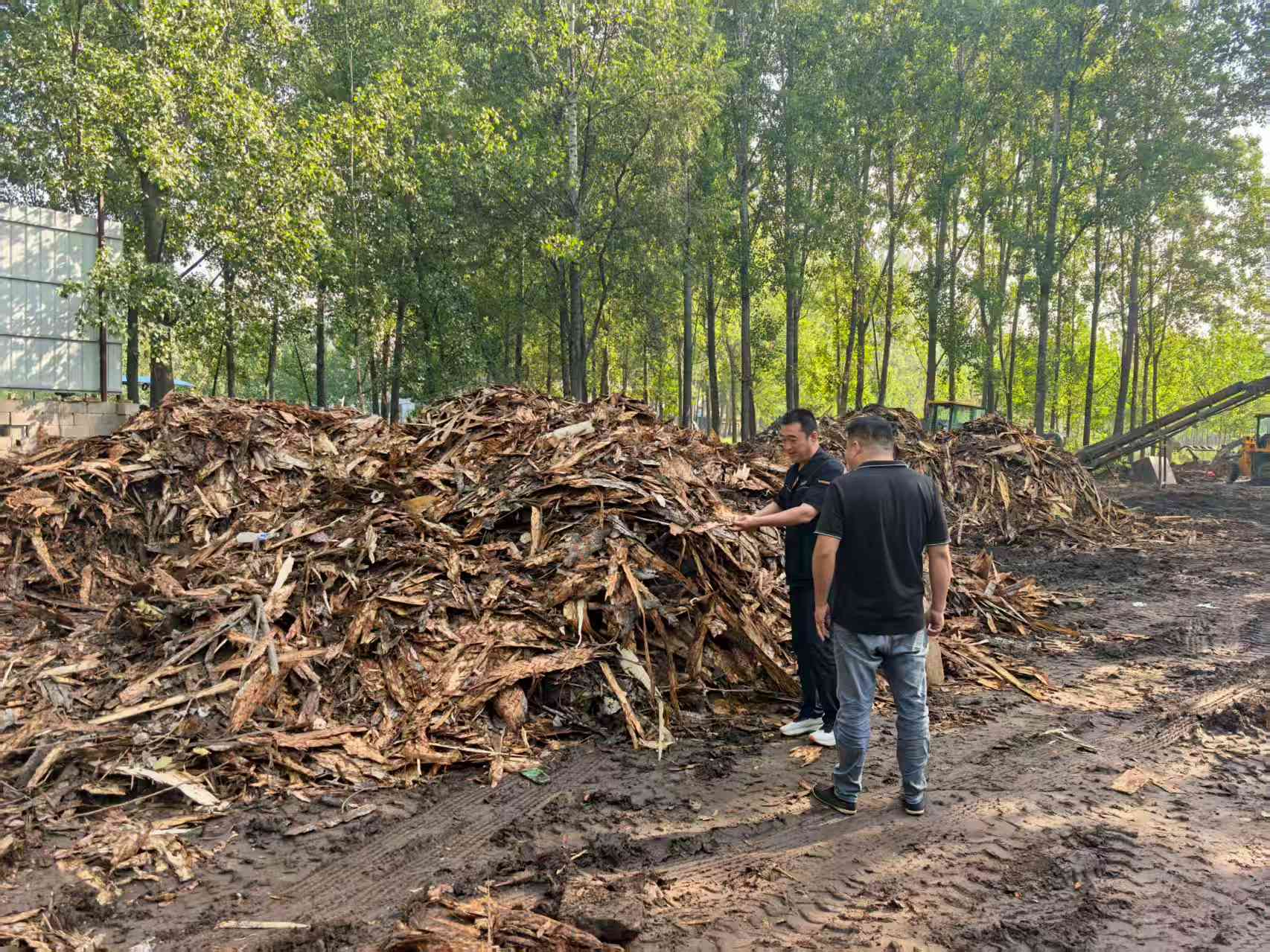 20250916151847859 Z6¡¤ÈËÉú¾ÍÊDz©(ÖйúÇø)¹Ù·½ÍøÕ¾