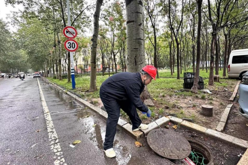 Z6���������ǲ�(�й���)�ٷ���վ