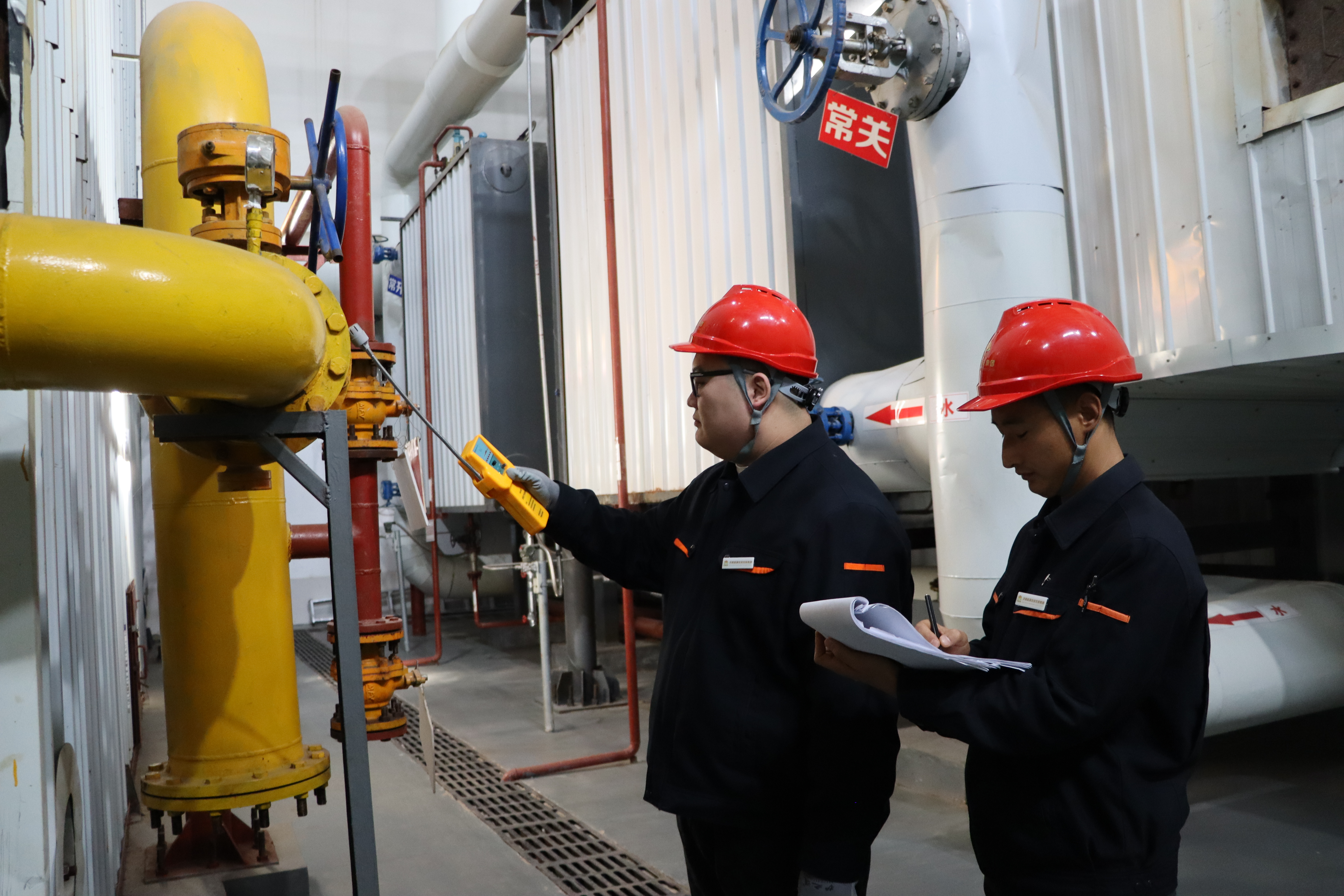 Z6���������ǲ�(�й���)�ٷ���վ