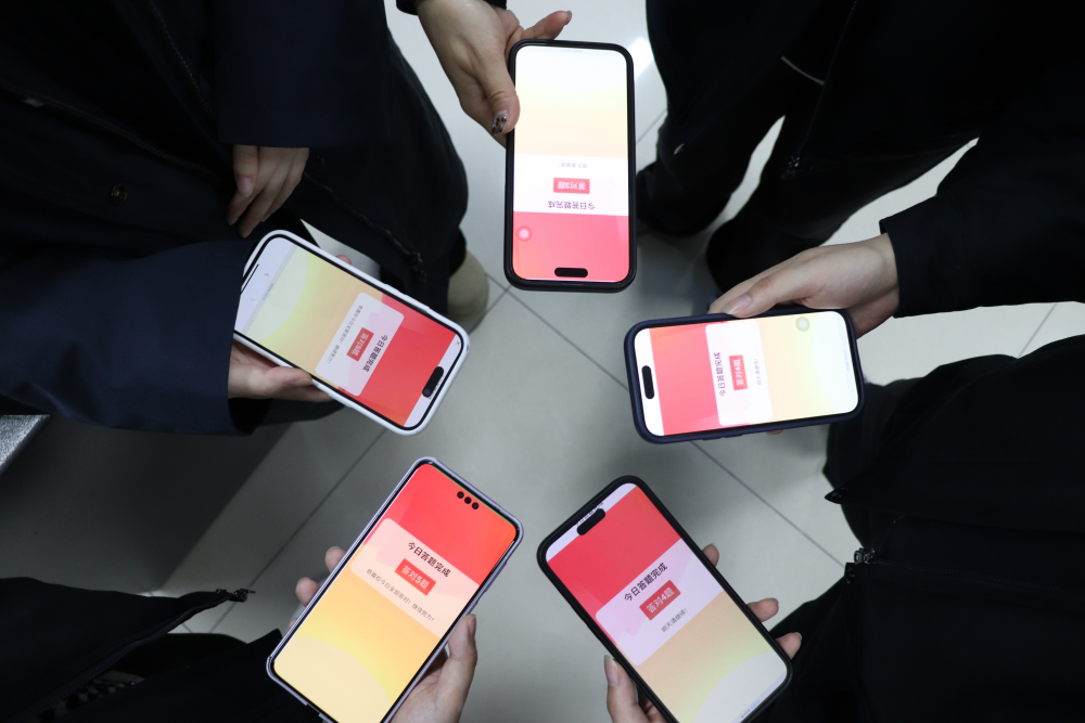 Z6���������ǲ�(�й���)�ٷ���վ