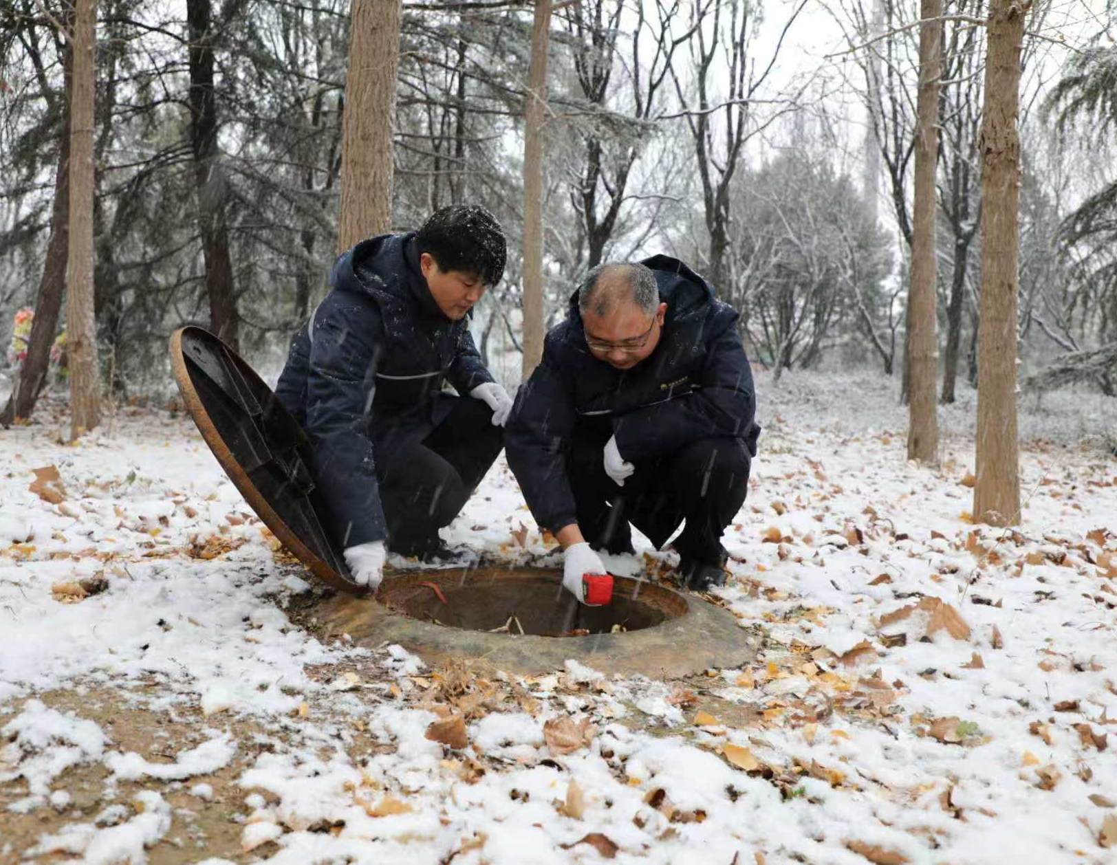 Z6���������ǲ�(�й���)�ٷ���վ